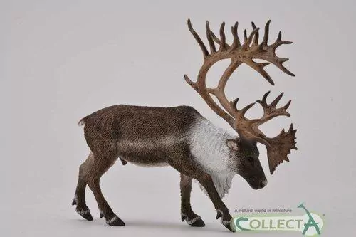 Renifer. Figurka kolekcjonerska. Collecta - tantis.pl