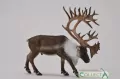 Renifer. Figurka kolekcjonerska. Collecta - tantis.pl