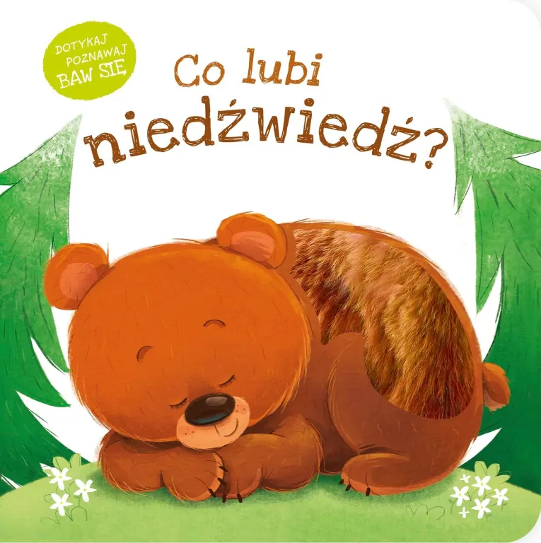 Co lubi niedźwiedź? - tantis.pl
