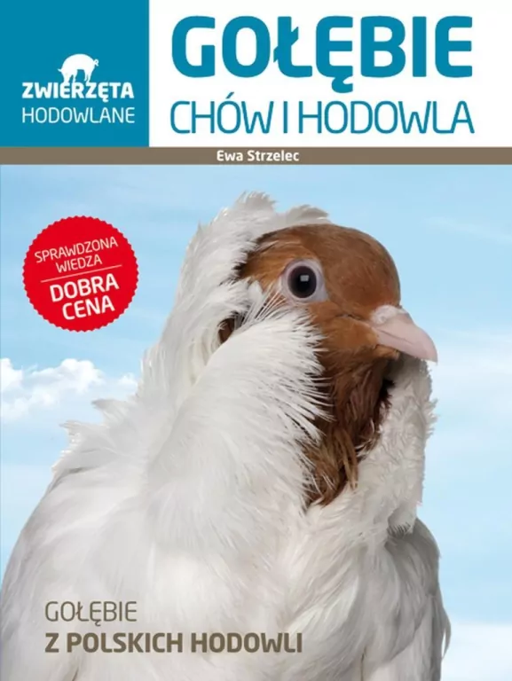 Gołębie. Chów i hodowla. Zwierzęta hodowlane - tantis.pl
