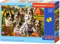 Puzzle 260 Happy Dogs In The Countryside CASTOR - tantis.pl
