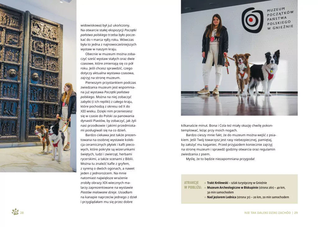 Wędrówki z psem. 87 psiolubnych miejsc w Polsce - tantis.pl