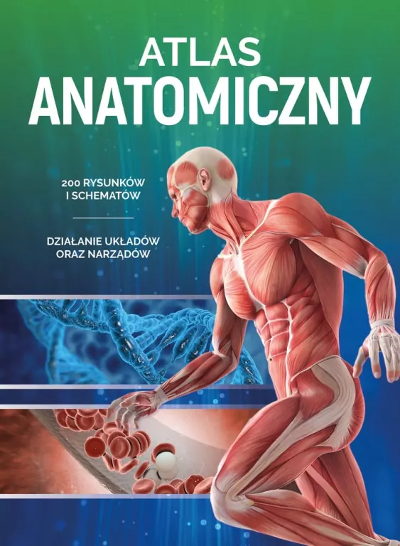Atlas anatomiczny - tantis.pl