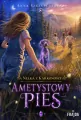 Nelka z Karkonoszy. Ametystowy pies - tantis.pl
