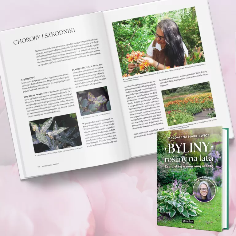 Byliny: rośliny na lata. Zaprojektuj wymarzoną rabatę - tantis.pl