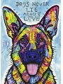 Puzzle 1000 Pies, Jolly Pets - tantis.pl