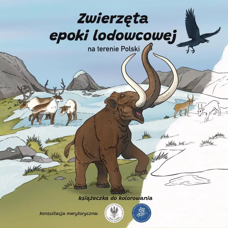Zwierzęta epoki lodowcowej na terenie Polski - tantis.pl