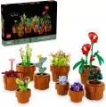 LEGO® Icons. Małe roślinki 10329 - tantis.pl