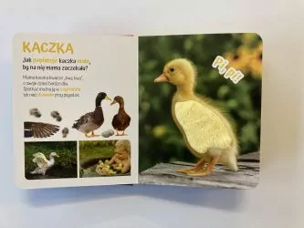 Pogłaszcz wiejskie zwierzątko. Przytulki - tantis.pl