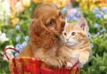 Puzzle 104 Maxi Super Kolor Cute Friends - tantis.pl