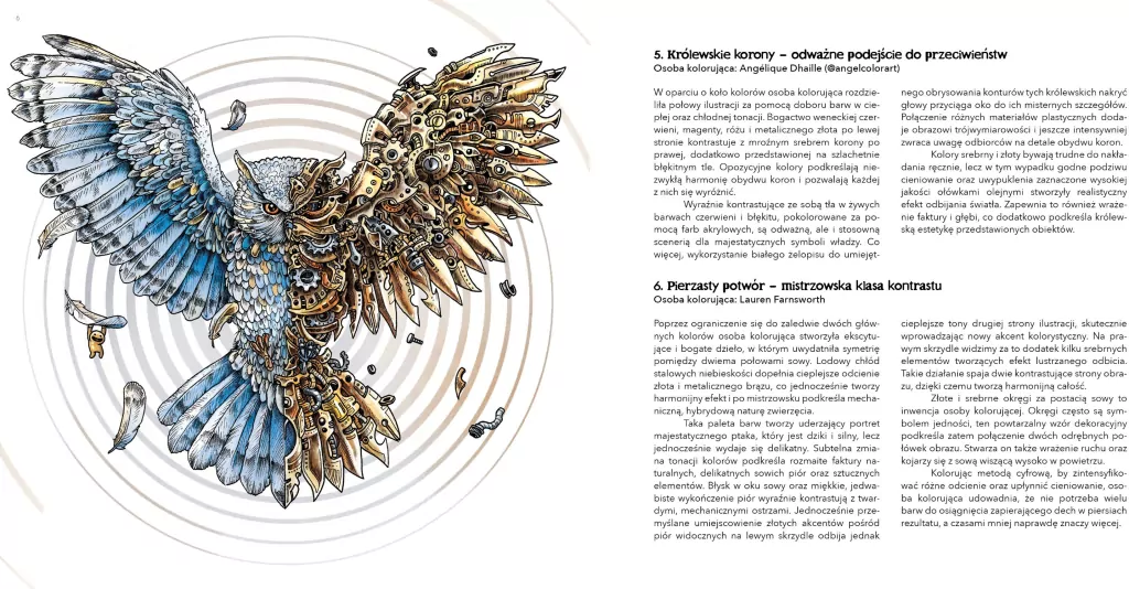Symetrie. Zdumiewający świat niezwykłych harmonii - tantis.pl