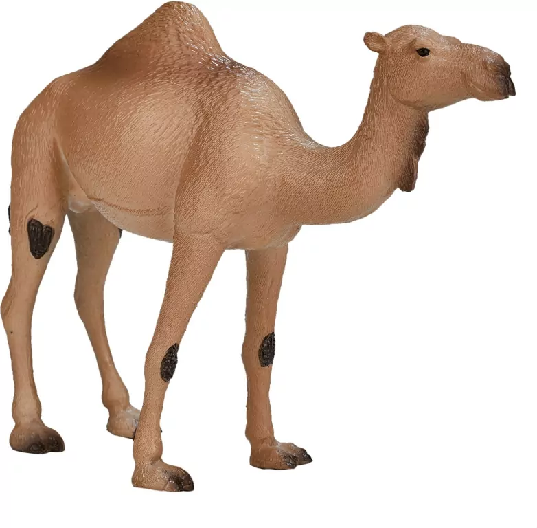 Figurka Wielbłąd Arabski - tantis.pl