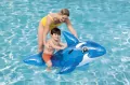 Delfin do pływania z uchwytami 1.57m x 94cm - tantis.pl