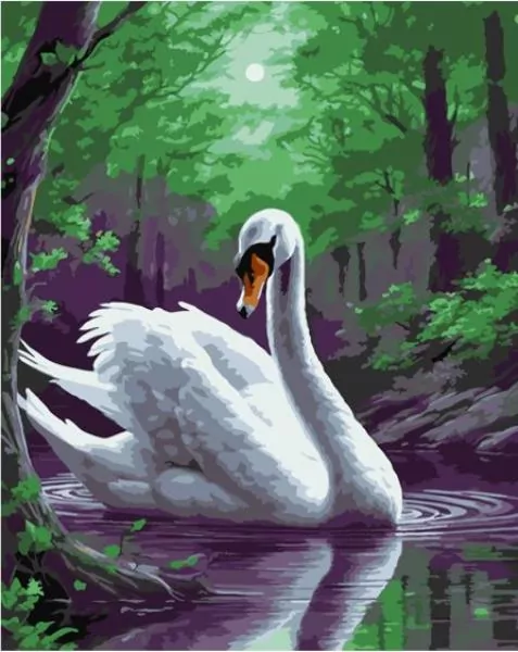 Malowanie po numerach - Magiczny łabędź 40x50cm - tantis.pl