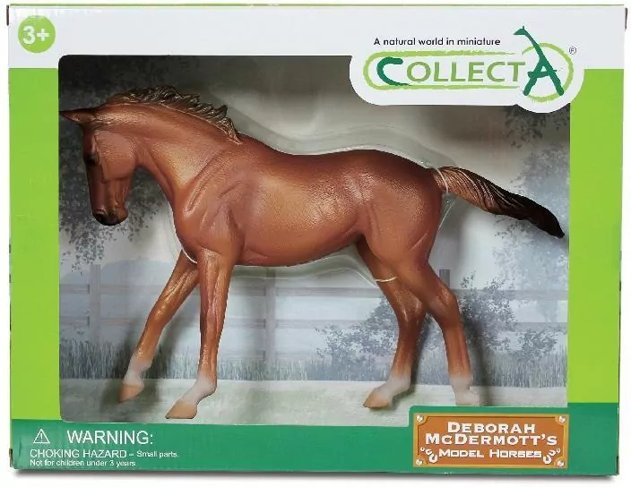 Klacz rady Thoroughbred maści Chestnut - tantis.pl