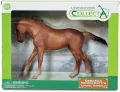 Klacz rady Thoroughbred maści Chestnut - tantis.pl