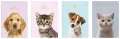 Zeszyt A5/16K kratka UV Puppy Sign - tantis.pl