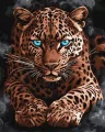 Malowanie po numerach - Dziki gepard 40x50cm - tantis.pl