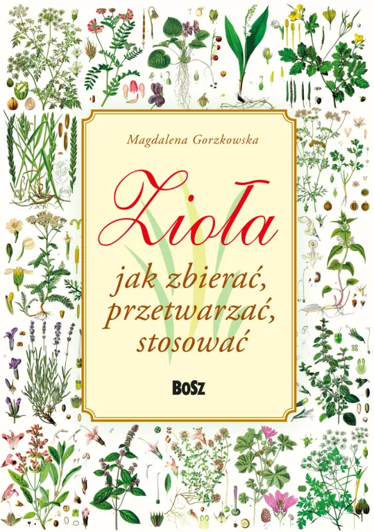 Zioła. Jak zbierać, przetwarzać, stosować - tantis.pl