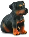 Collecta. Pies Rottweiler, szczeniak - tantis.pl