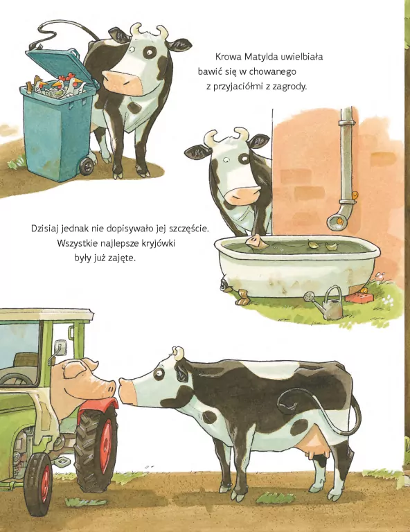 Krowa Matylda bawi się w chowanego - tantis.pl