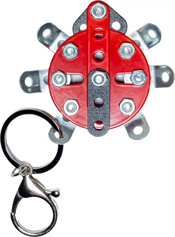 Brelok DIY biedronka. X-press Me - tantis.pl