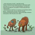 Skąd wieje wiatr? Żubr Pompik. Odkrycia Tom 9 - tantis.pl
