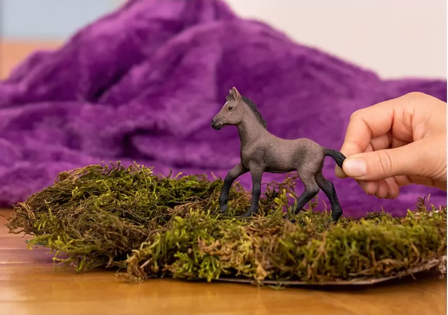 Źrebię rasy paso peruwiański 13954 - tantis.pl