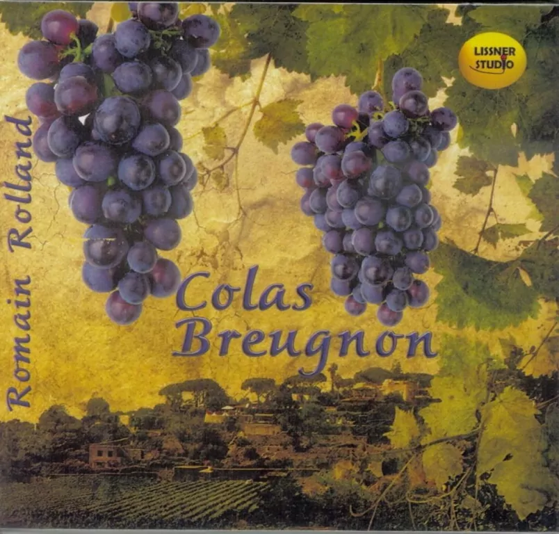 Colas Breugnon audiobook - tantis.pl