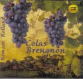 Colas Breugnon audiobook - tantis.pl