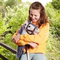 Hobby Horse A3 szary - tantis.pl