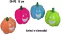 Dynia 15cm MIX - tantis.pl