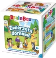 BrainBox. Zwierzęta domowe - tantis.pl