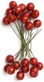 Owoce ostrokrzewu białe czerwone 1,2cm 24szt - tantis.pl