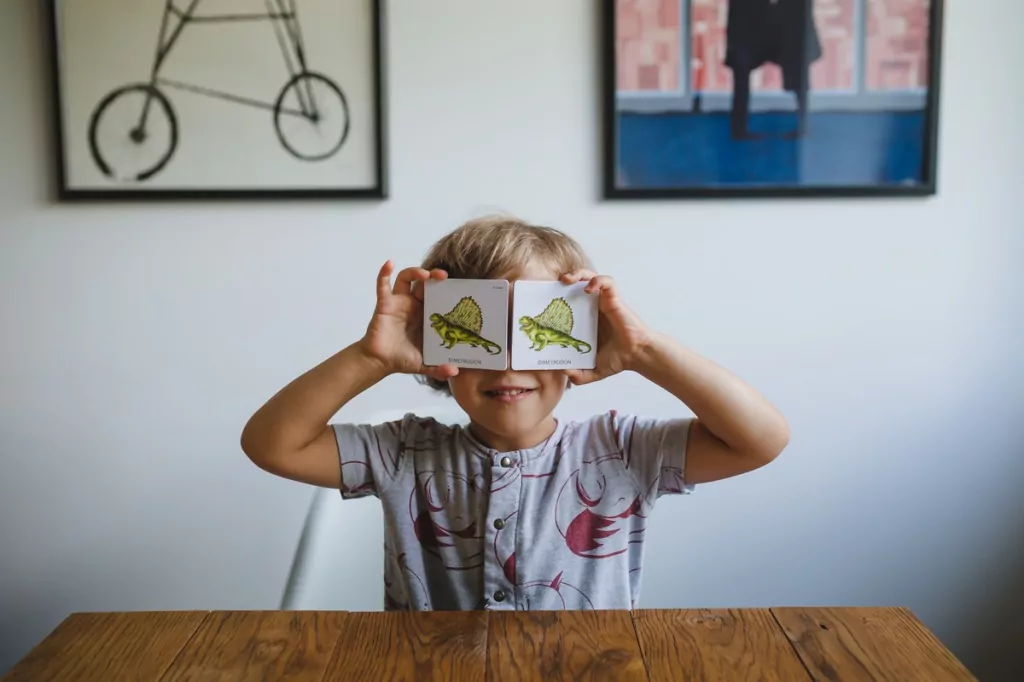 Adamigo. Memory Dinozaury - tantis.pl