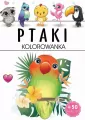 Arti. Ptaki. Kolorowanka - tantis.pl