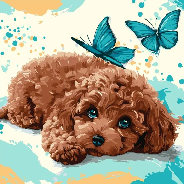 Malowanie po numerach - Uroczy pudel 40x40cm - tantis.pl