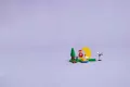 LEGO® Animal Crossing. Obserwacja gwiazd z Celeste 77053 - tantis.pl