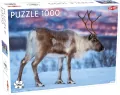 Puzzle 500 Lovers Wild and Free - tantis.pl