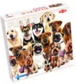 Puzzle 100 Group of Cute Dogs - tantis.pl