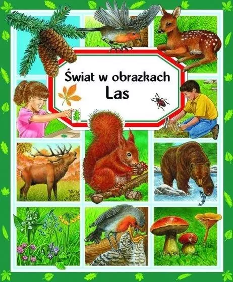 Las. Świat w obrazkach - tantis.pl