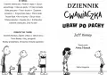 Ubaw po pachy. Dziennik cwaniaczka. Tom 4 - tantis.pl