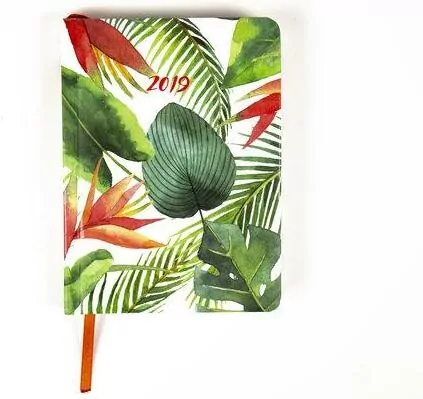 Kalendarz tygodniowy B6 2019 Liście ALBI - tantis.pl