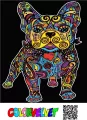 Kolorowanka welurowa Buldog Francuski 47x35cm - tantis.pl