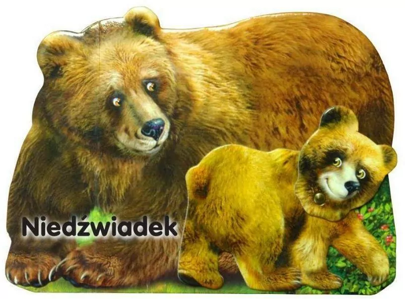 Niedźwiadek - tantis.pl