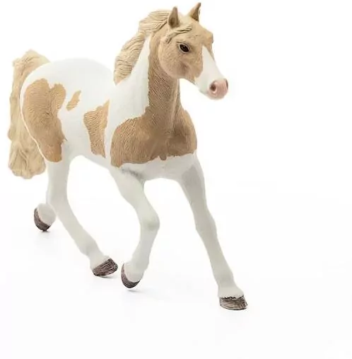 Klacz paint horse 13884 - tantis.pl