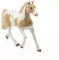 Klacz paint horse 13884 - tantis.pl