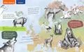 Atlas Świata dla dzieci - tantis.pl