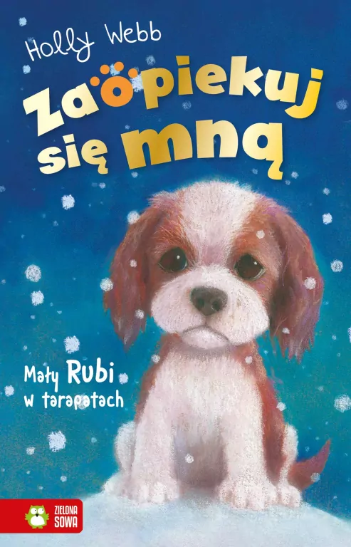Mały Rubi w tarapatach. Zaopiekuj się mną - tantis.pl
