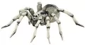 Tarantula - tantis.pl